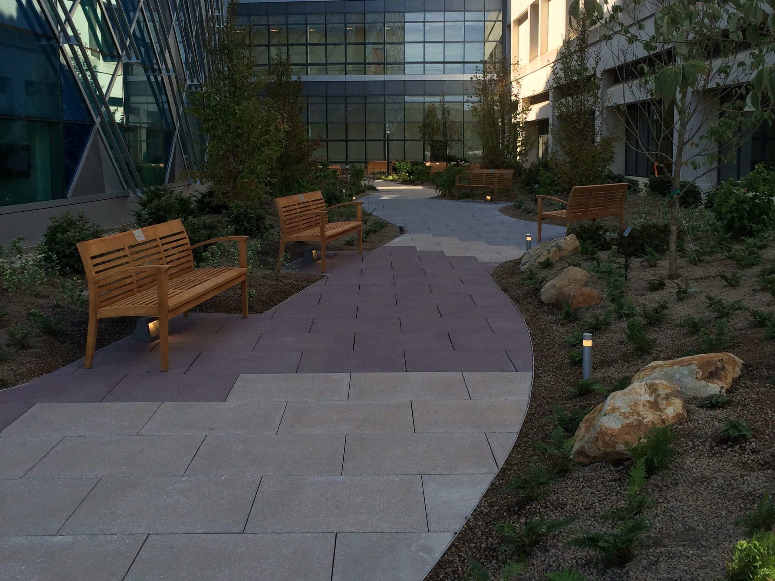Neumors Sedum roof install