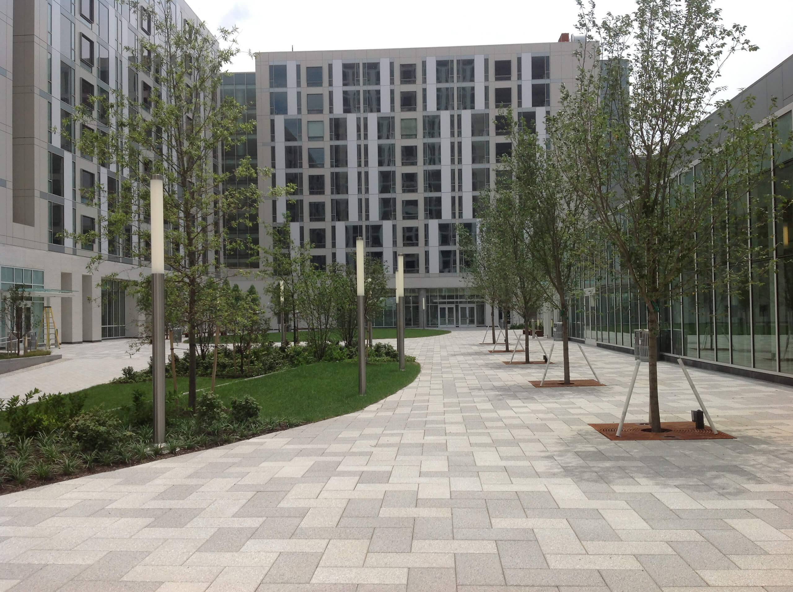 Temple University Student Residences