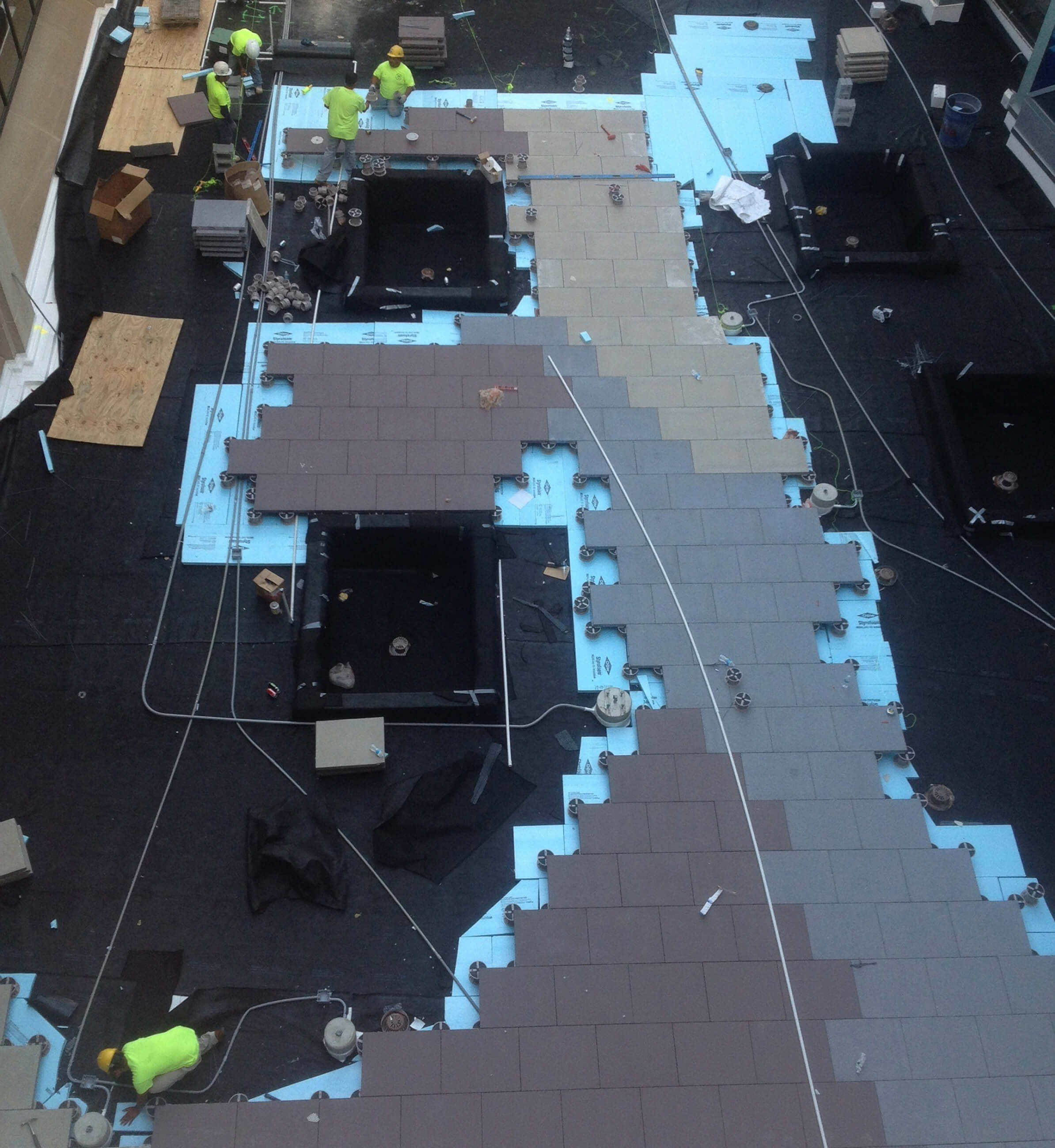 Neumors Sedum roof install