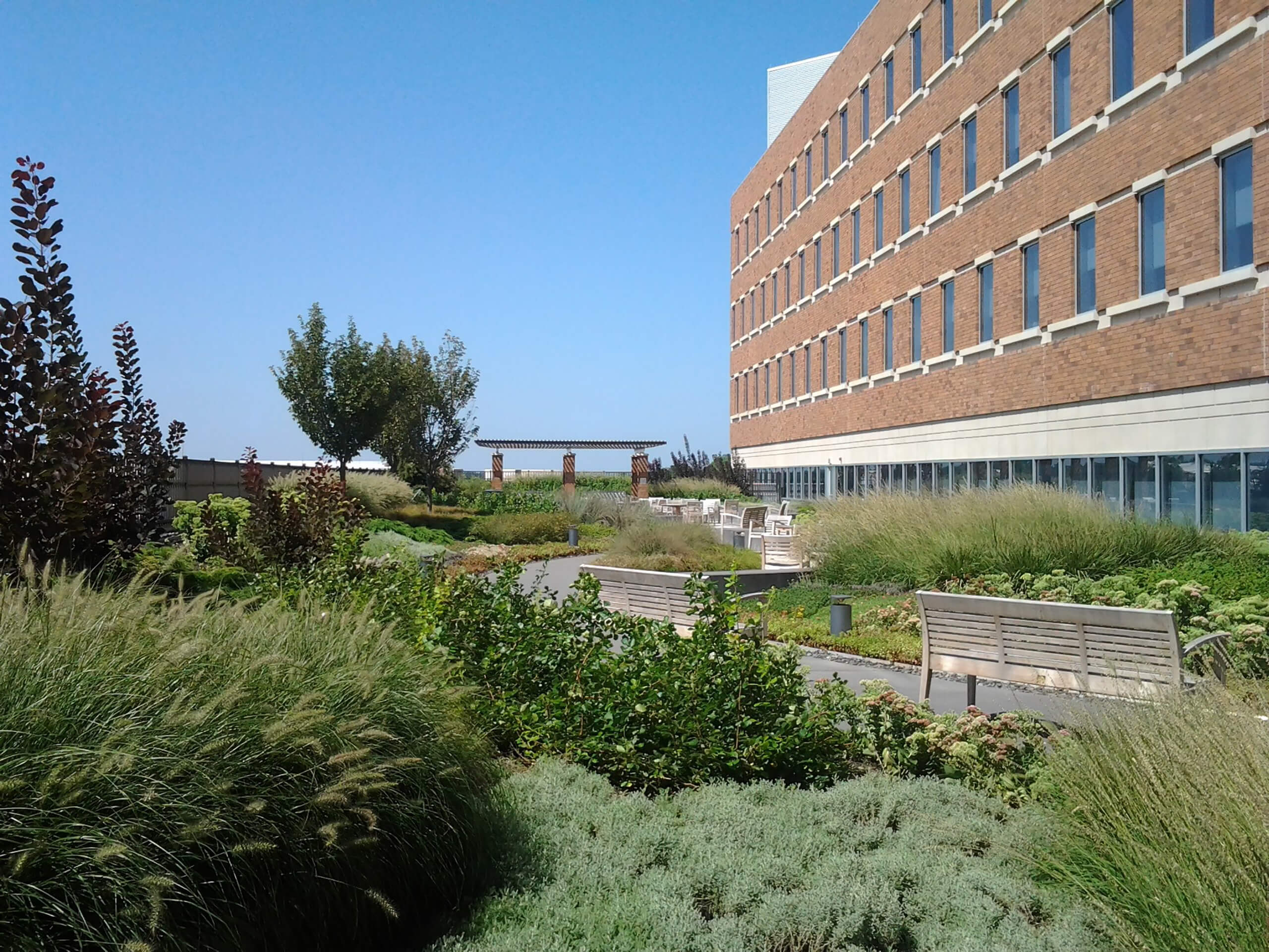 Capital Health Replacement Hospital
